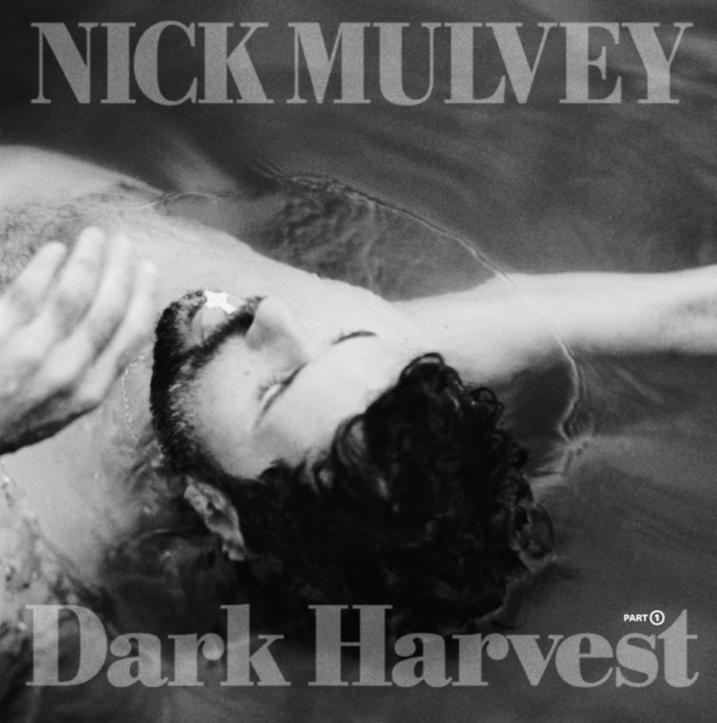 Nick Mulvey - Dark Harvest Part 1 - Vinyl LP
