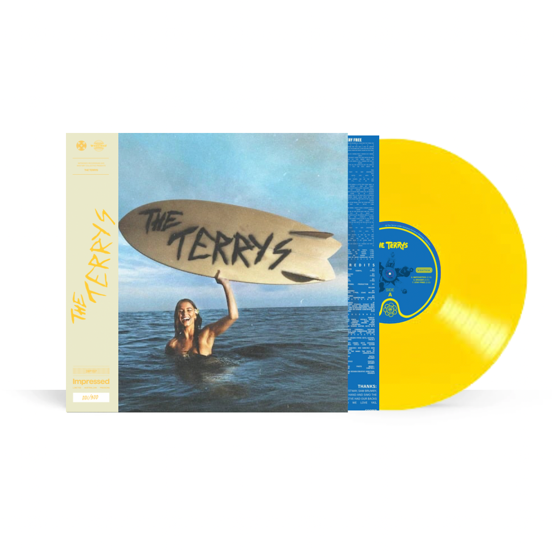 The Terrys - SELF TITLED Vinyl LP