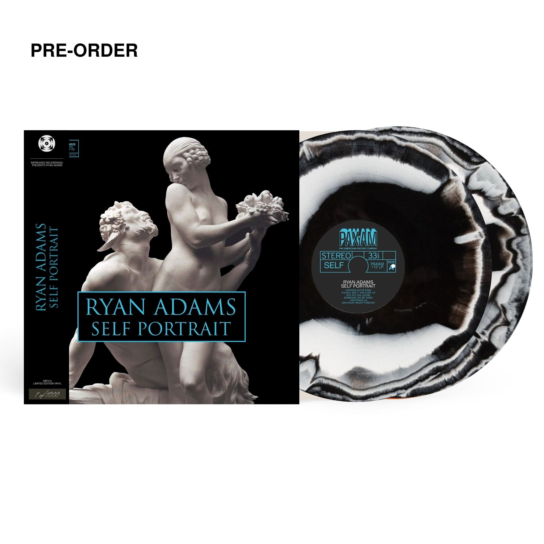 Vinyl record with cover featuring statues and 'Ryan Adams Self Portrait' text on a white background