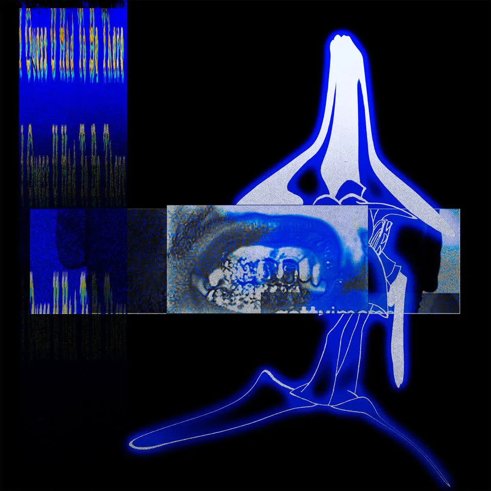 ELUCID & SEBB BASH - I Guess U Had To Be There - VINYL LP